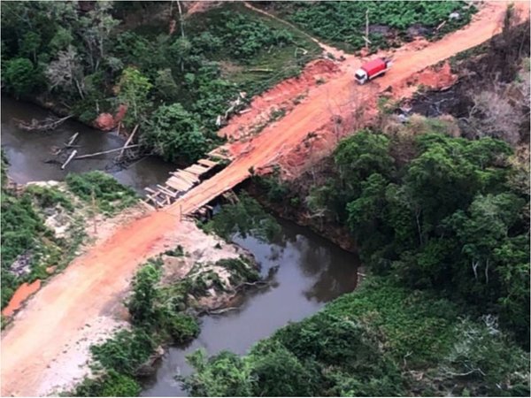 Advierten daño irreversible si no para la deforestación en reserva