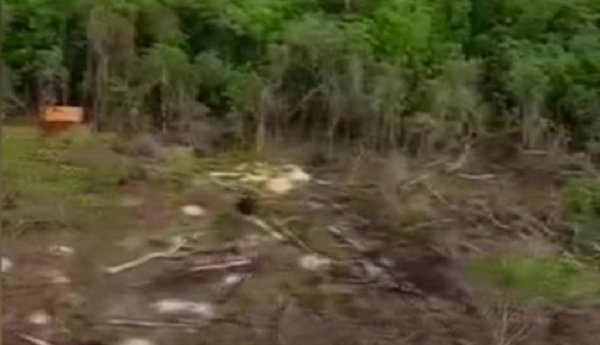 Narcos construyen puentes en reserva natural | Noticias Paraguay