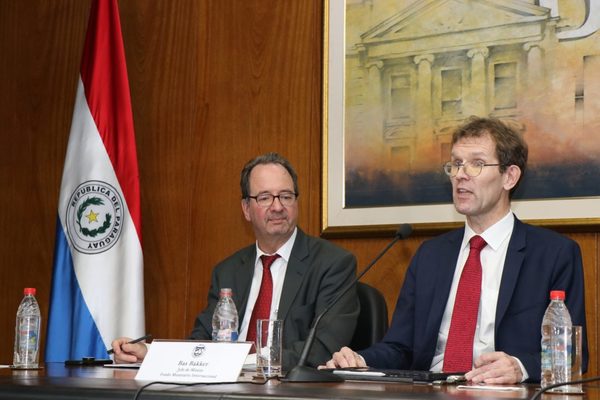 FMI estima nulo crecimiento en 2019