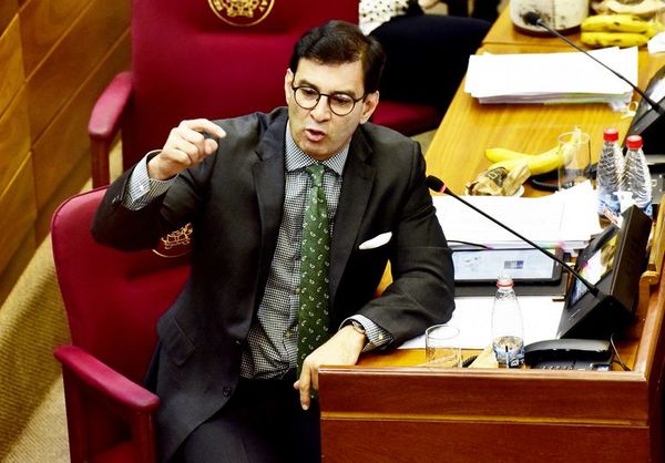 Ovelar: “Los diputados están descuartizando el Presupuesto”  - Nacionales - ABC Color