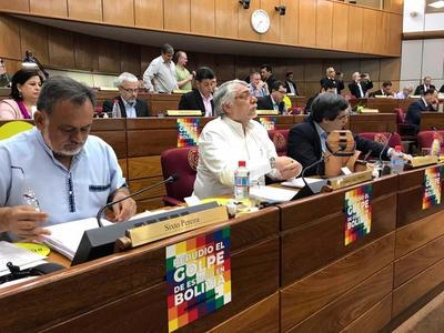 Senado no aprueba proyecto de Declaración sobre golpe en Bolivia - ADN Paraguayo