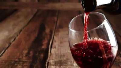 Ahora podés ser un experto en cata de vinos