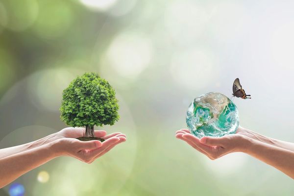 Fondo Verde aprobó la continuidad del proyecto REDD+