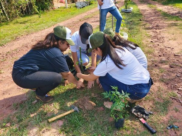 Quieren plantar 500 arbolitos para fortalecer el área verde en Itauguá - Nacionales - ABC Color