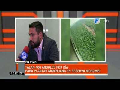 Reserva Morombí a merced de narcos