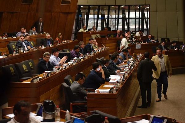 Tras bochorno y críticas, diputados decidieron escuchar a la Bicameral - Nacionales - ABC Color