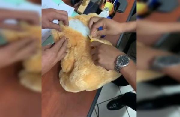 Hombre le regaló un peluche con droga en su interior a su exnovia y la denunció a la policía - SNT