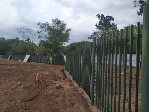 Prosigue Corredor Vial Botánico con 56 pilotes construidos