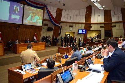 Diputados aprueba reajuste salarial del 7,3% para Ande