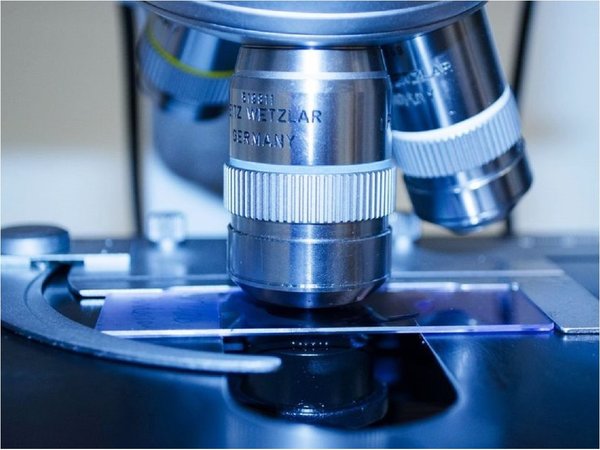 Micropartículas podrían paliar la desnutrición de 2.000 millones de personas