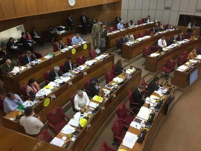 Senado da media sanción a la creación de la empresa por acciones simplificada  - Nacionales - ABC Color