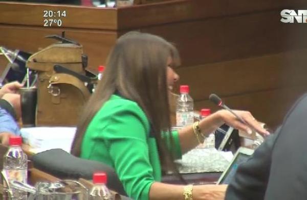 Perlitas de la Cámara Baja: de esta forma ''estudiaron'' los Diputados en la sesión - SNT