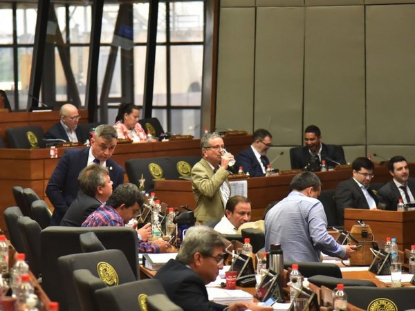 Diputados infla el  gasto salarial  en más de USD 41 millones para 2020