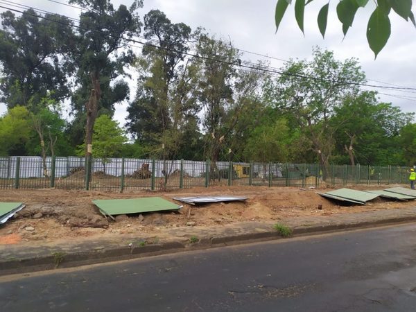 Construyen 56 nuevos pilotes para la obra