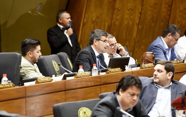 Destrozo de PGN 2020 en Diputados fue “en busca de votos”, según Acosta - A La Gran 7-30 - ABC Color