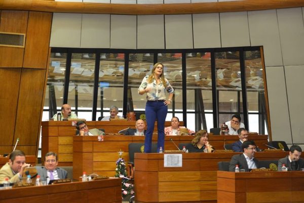 Kattya pide "no agigantar el Estado para nombrar planilleros"