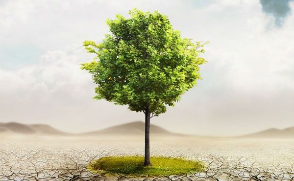 Participá de la Conferencia Local de la Juventud sobre Cambio Climático