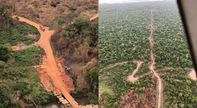Repudian falta de accionar de la fiscalía ante deforestación de Reserva Morombí