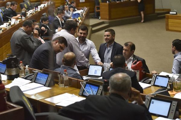 Diputados aprueban ínfimo recorte a gastos superfluos - Política - ABC Color