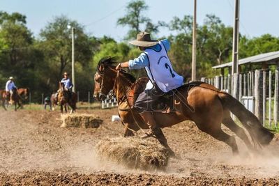 Gran participación en segundo ciclo de competencias de raza criolla