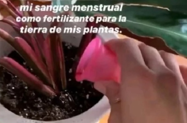 Actriz riega sus plantas con la sangre de su copa menstrual