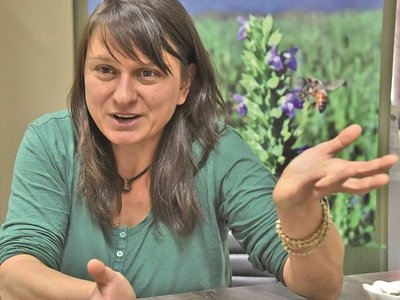 “No sé de dónde Paraguay conseguirá semillas para 50.000 ha. en un año”