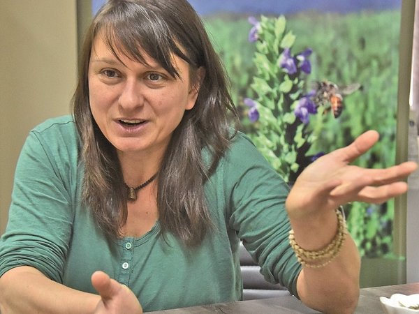 “No sé de dónde Paraguay conseguirá semillas para 50.000 ha. en un año”