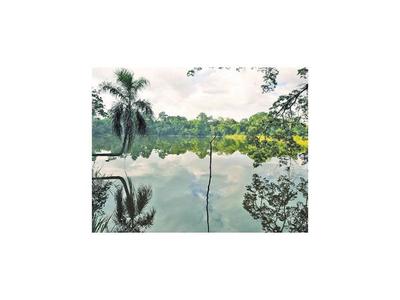 La Municipalidad y vecinos de CDE impulsan embellecer el  lago Yrendy