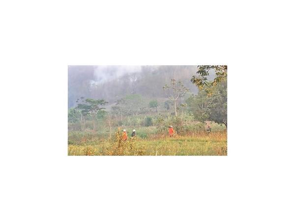 Buscan reforestar el Ybytyruzú arrojando bombas de semillas