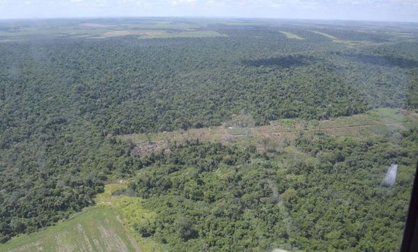 Aeronave cayó en estancia de Yuty - Nacionales - ABC Color