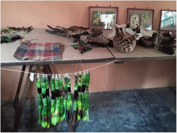 Museo Verde expone instrumentos ancestrales de ayoreos en Carmelo
