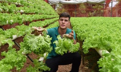 La inspiradora historia del joven que produce lechugas hidropónicas