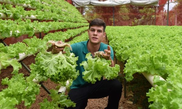 La inspiradora historia del joven que produce lechugas hidropónicas