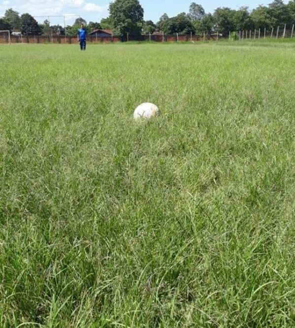 Cancha está convertida en yuyal y refleja inoperancia dirigencial