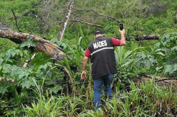 MADES interviene establecimiento por desmonte de 50 hectáreas en Itapúa