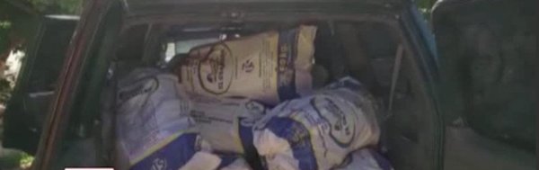 Incautan 455 kilos de marihuana en Caaguazú | Noticias Paraguay