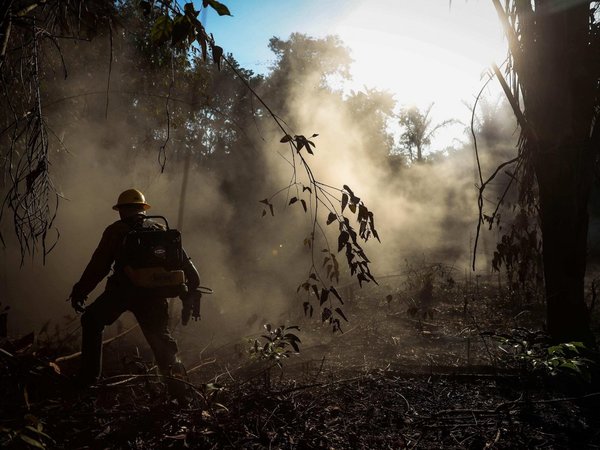 Deforestación: Amazonía brasileña alcanza mayor nivel en más de una década
