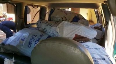Incautan más de 450 kilos de marihuana en Caaguazú
