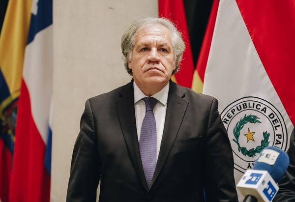 Paraguay, “determinante” en salida de Morales, admite secretario general de OEA - Mundo - ABC Color