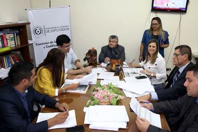 Comisión de Legislación recomienda el rechazo de las modificaciones a la ley Informconf  - Nacionales - ABC Color