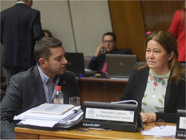 Los diputados rechazarán veto y aprobarán plata para operadores