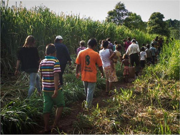 Plantean convertir reserva de Itaipú en área indígena de conservación