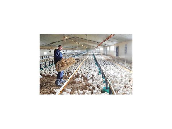 Productores europeos piden rechazar el acuerdo con Mercosur