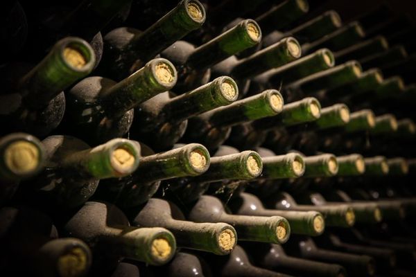 El sueño vinícola que viajó de Italia a Uruguay hace un siglo - Viajes - ABC Color