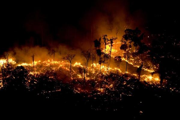 La deforestación en la Amazonía se dispara y aumenta presión sobre Bolsonaro » Ñanduti