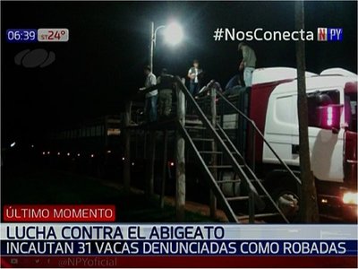 Incautan 31 vacas tras denuncia por abigeato en Paraguarí