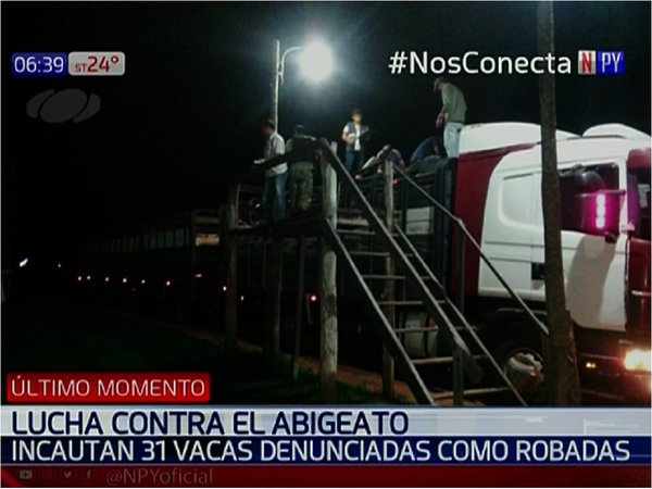 Incautan 31 vacas tras denuncia por abigeato en Paraguarí