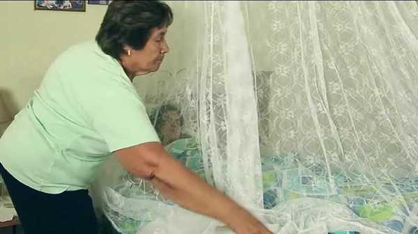 Confirman nuevos casos de Dengue en Asunción y Guairá