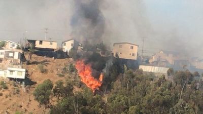 Incendios en Chile destruyen ocho viviendas y consumen más de 3.500 hectáreas - Mundo - ABC Color