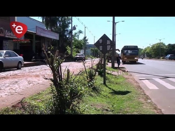 POLICIA AMBIENTAL INSTA A DENUNCIAR LA PODA DE ÁRBOLES Y QUEMA DE BASURAS